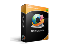 Ditel SEO Natural software for automatic creation of web traffic